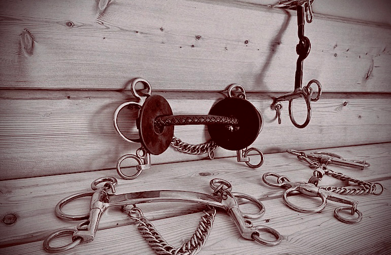 Hand-Stitched Leather Pelham Horse Bit , next to a Milano Pelham bit with curb chain