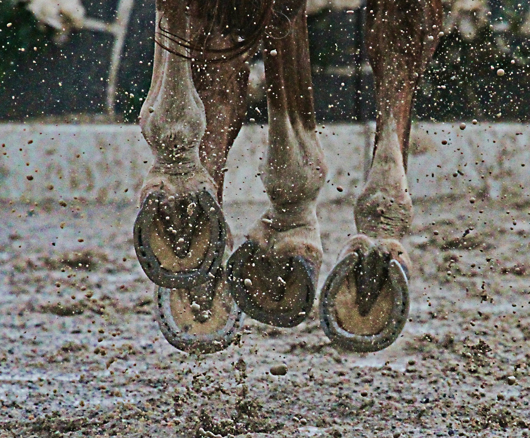 Horse hooves midair at an event showing horseshoes
